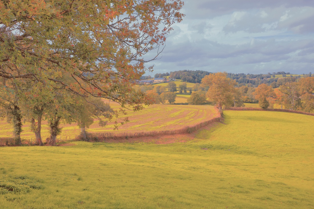 paysage creusois